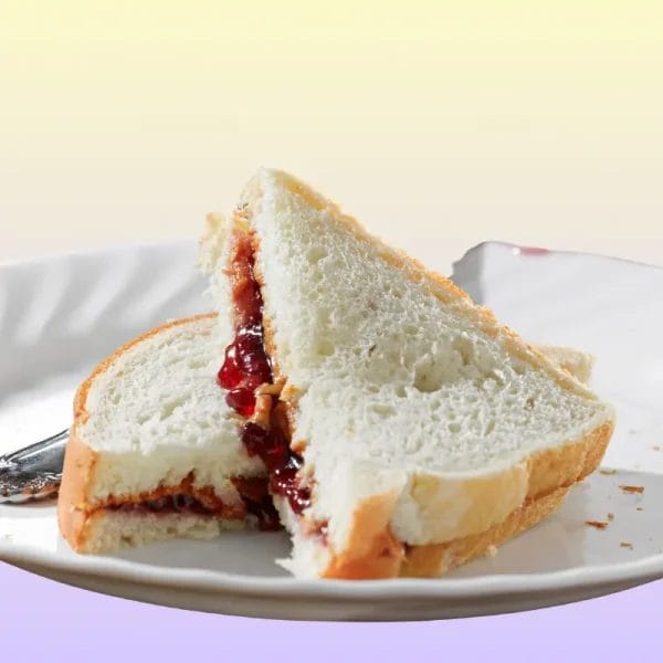 Cheese Jam Sandwich