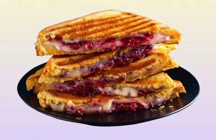 Cheese Jam Sandwich Grilled