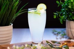 Fresh Lime Soda Salt